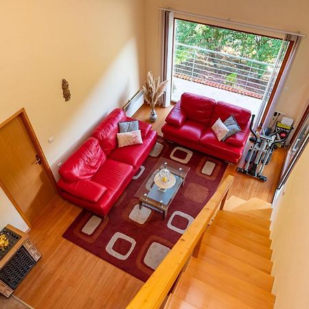 Apartments Maris Novigrad  Kültér fotó