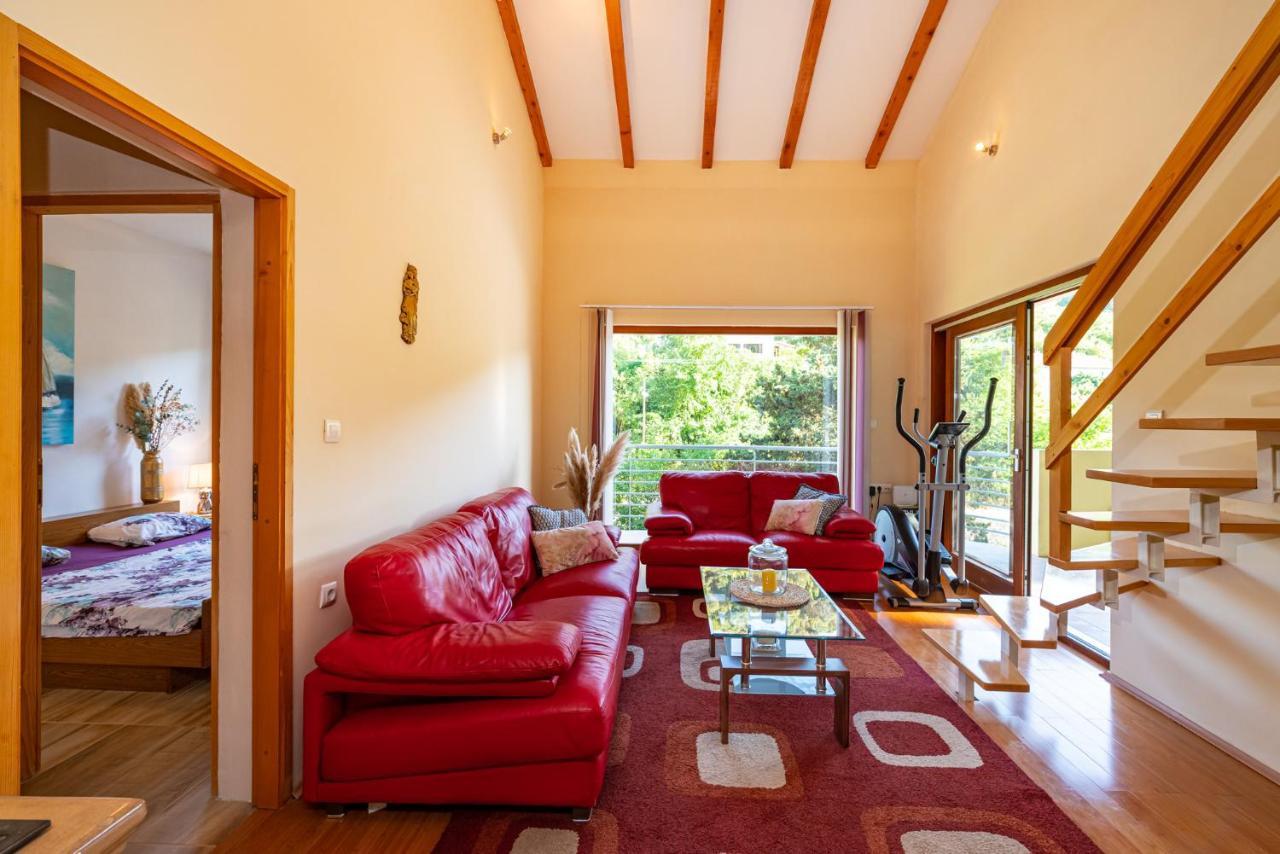 Apartments Maris Novigrad  Kültér fotó