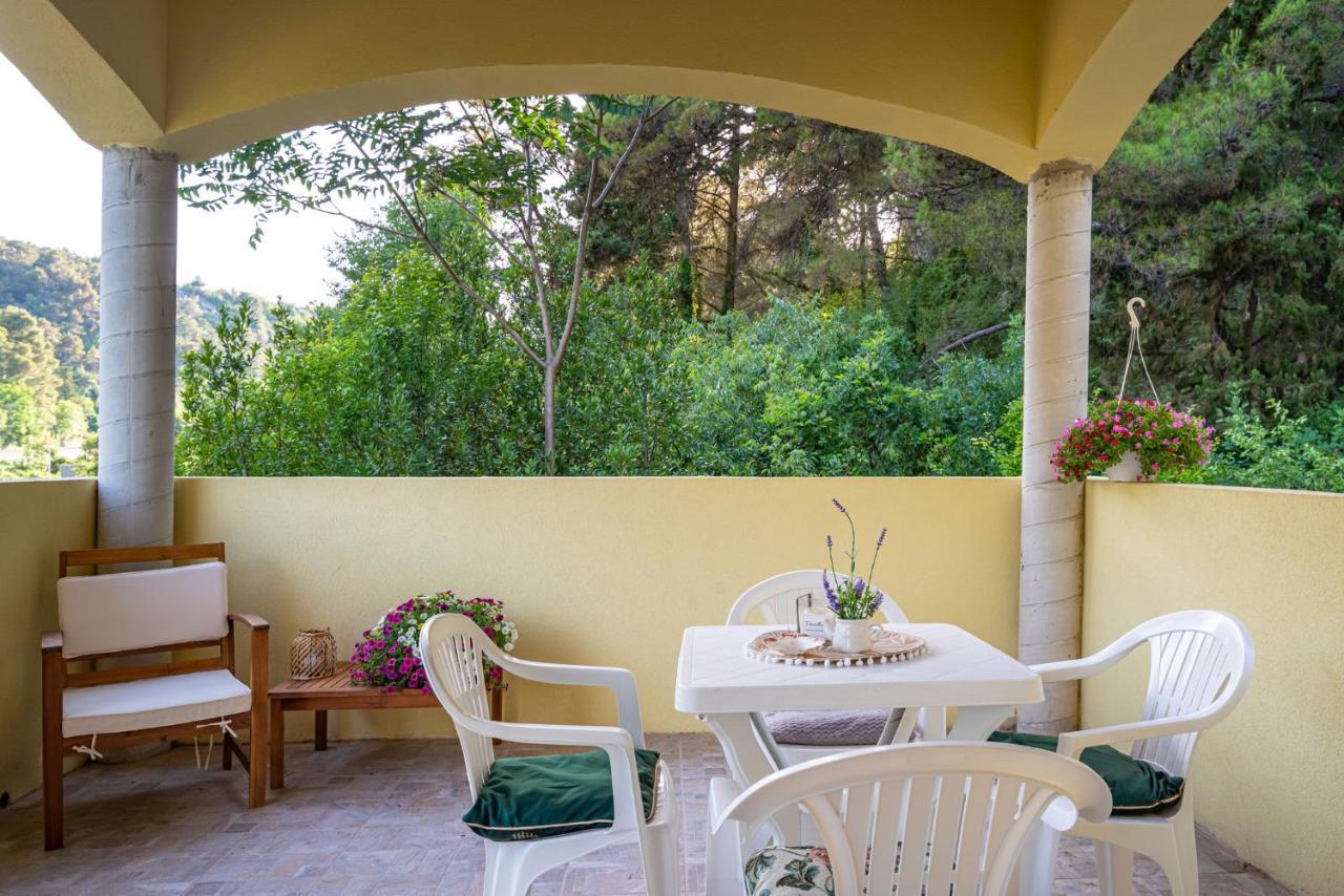 Apartments Maris Novigrad  Kültér fotó