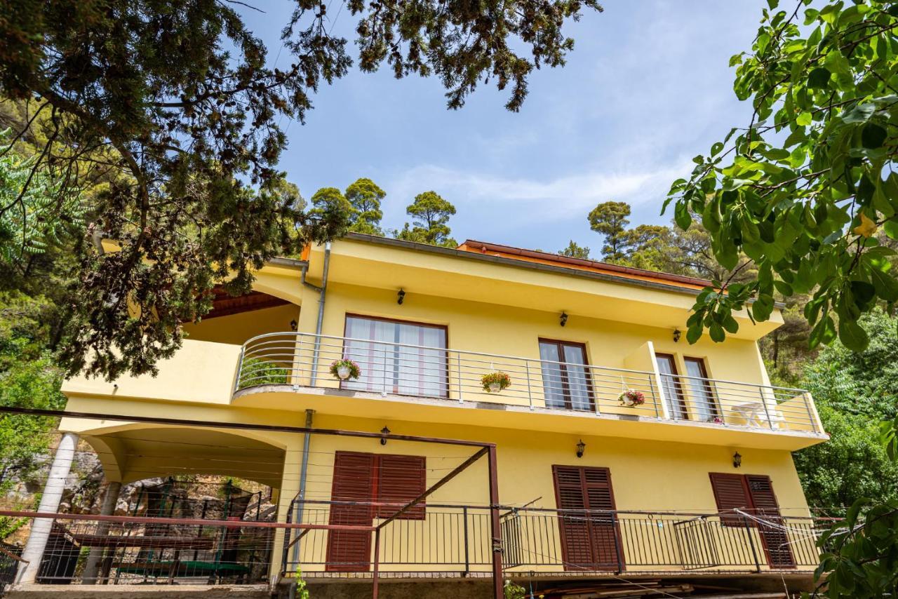 Apartments Maris Novigrad  Kültér fotó