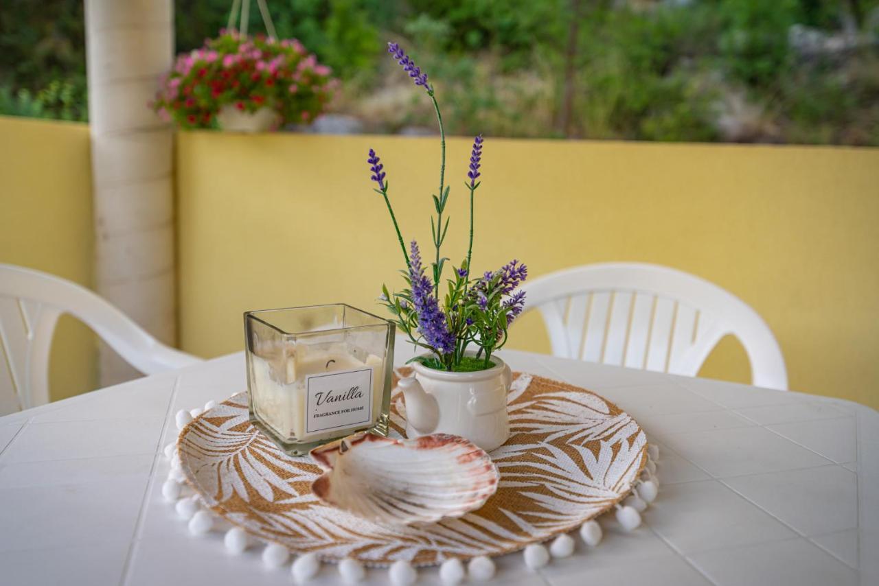 Apartments Maris Novigrad  Kültér fotó