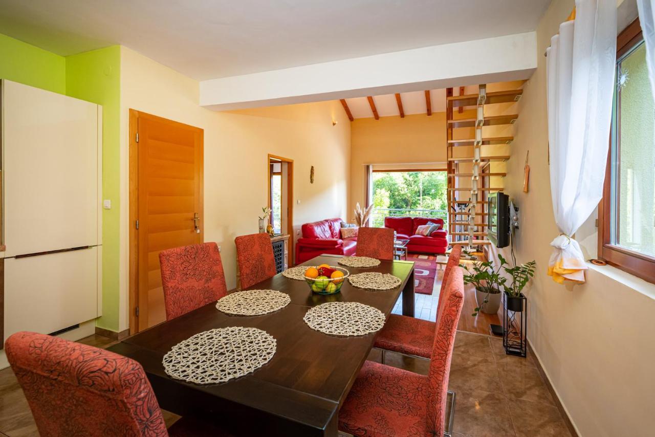 Apartments Maris Novigrad  Kültér fotó