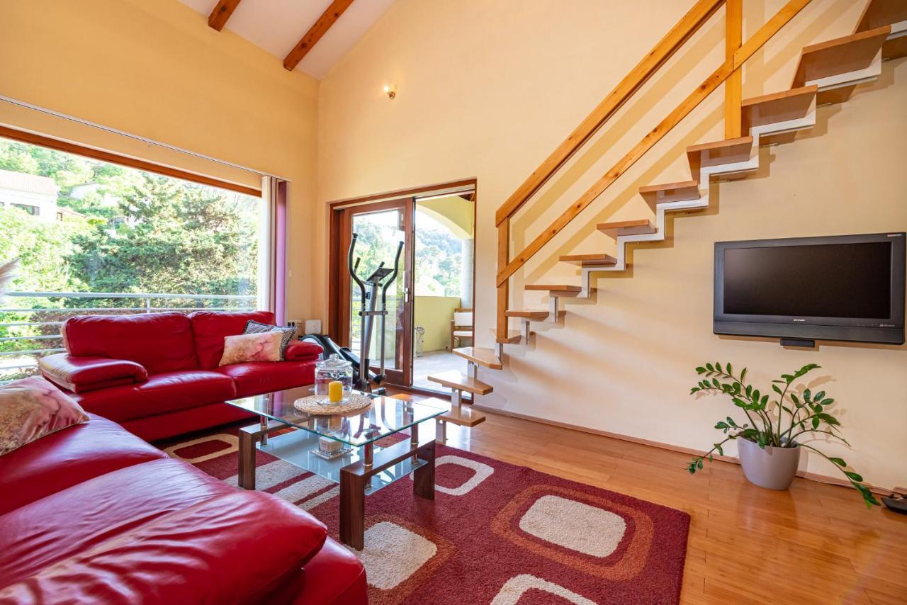 Apartments Maris Novigrad  Kültér fotó