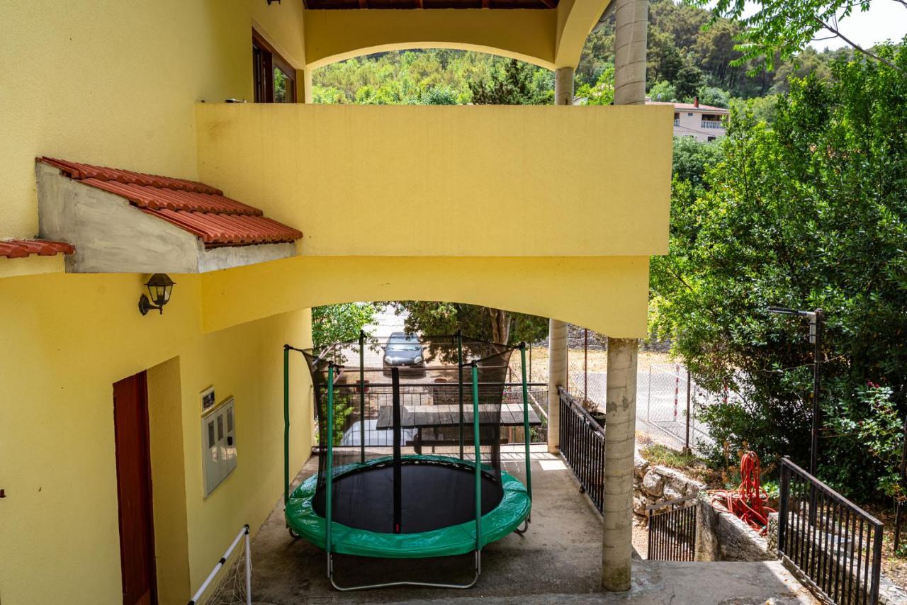 Apartments Maris Novigrad  Kültér fotó